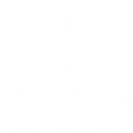 DT_logo_web_1024x1024